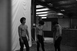 荷尔蒙花絮,探索人体激素的神奇魅力